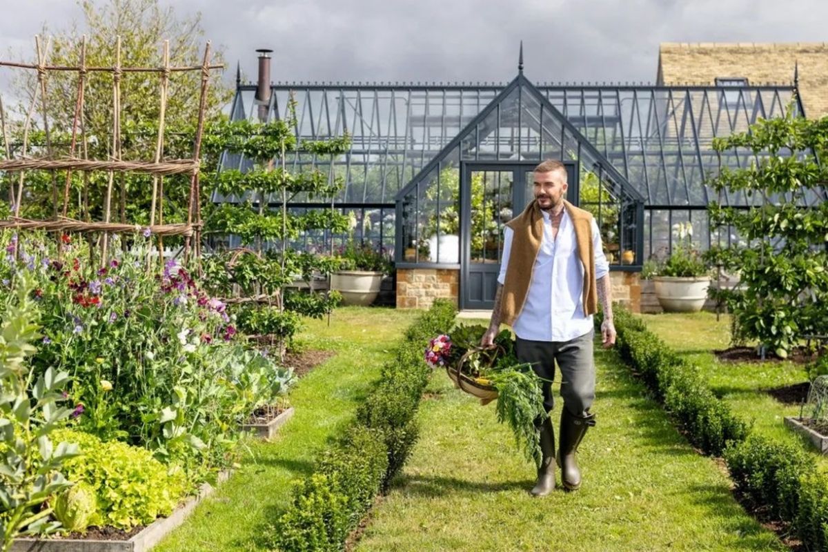 La rosa de David Beckham: el regalo que revela su pasión por el jardín