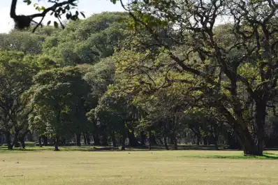 Qué estaría prohibido según el Código Ambiental y cuáles serían los valores aproximados de las multas