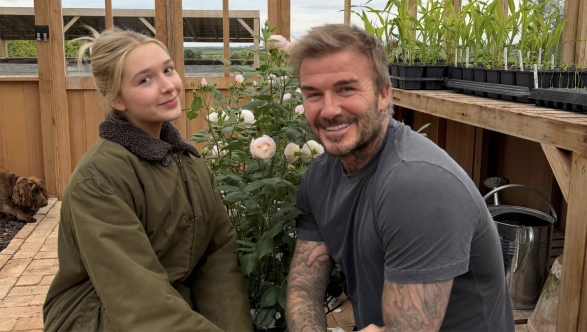 La rosa de David Beckham: el regalo que revela su pasión por el jardín