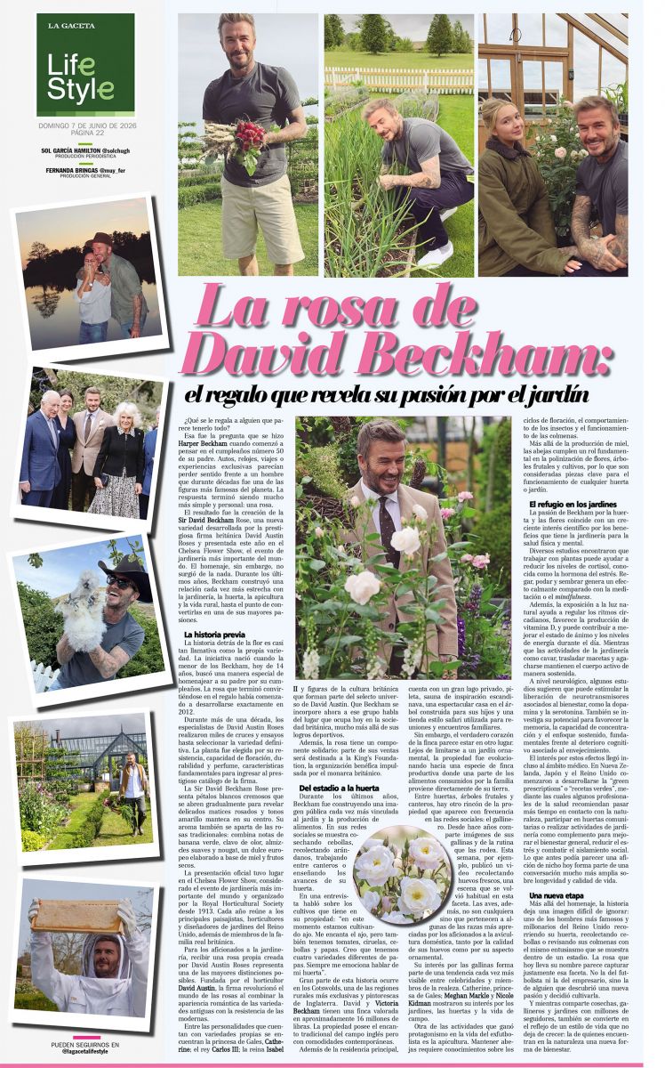 La rosa de David Beckham: el regalo que revela su pasión por el jardín
