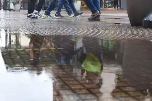 El Niño ya se siente en Tucumán y anticipa un verano más húmedo: qué efectos tendrá