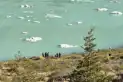Turistas brasileños ingresaron a un área restringida del Nahuel Huapi y fueron multados