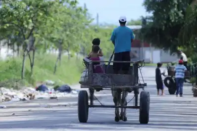 Pobreza infantil en Argentina: Unicef informó que cayó al 42,3% en 2025, el nivel más bajo desde 2018