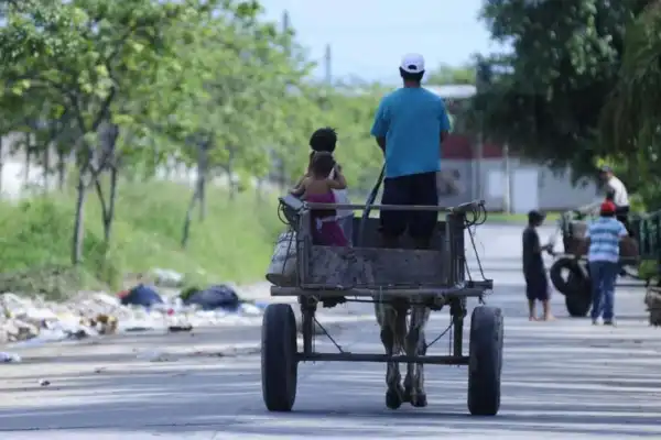 Pobreza infantil en Argentina: Unicef informó que cayó al 42,3% en 2025, el nivel más bajo desde 2018