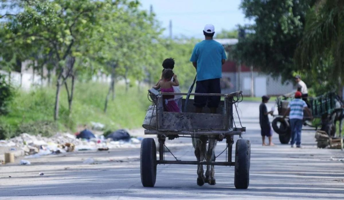 Pobreza infantil en Argentina: Unicef informó que cayó al 42