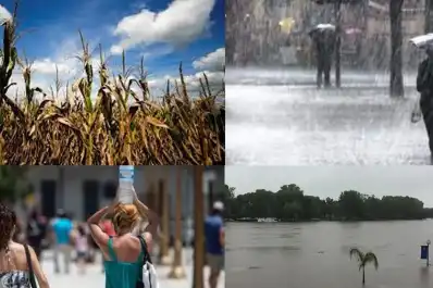 Alertan por la llegada de El Niño: calor atípico y lluvias intensas podrían afectar a Argentina