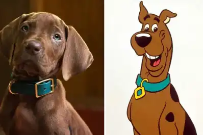 Netflix confirmó Scooby-Doo: Origins: la serie de acción real que divide a los fans por el perro elegido