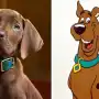 Netflix confirmó Scooby-Doo: Origins: la serie de acción real que divide a los fans por el perro elegido