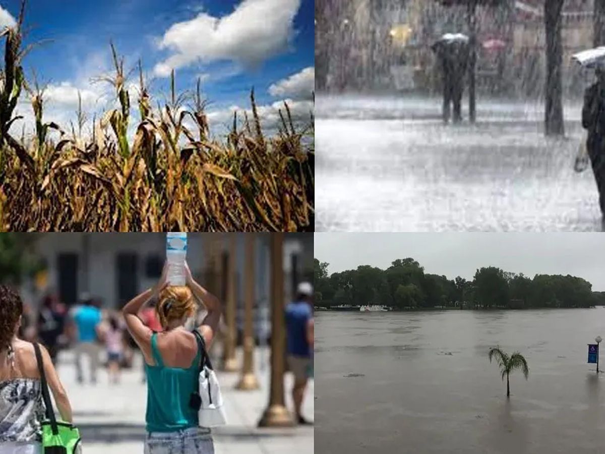 Alertan por la llegada de El Niño: calor atípico y lluvias i