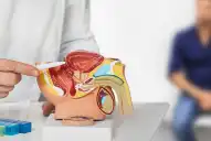 Día Mundial del Cáncer de Próstata: cuáles son las señales de alerta que no debes ignorar