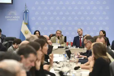 Organizaciones civiles cuestionaron el proyecto de lobby impulsado por el gobierno de Milei