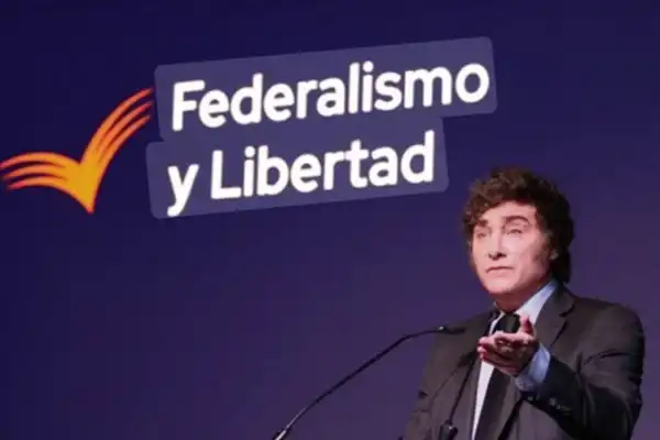 ¿No pueden justificar?: Viola cuestionó la situación contable e impositiva de Federalismo y Libertad
