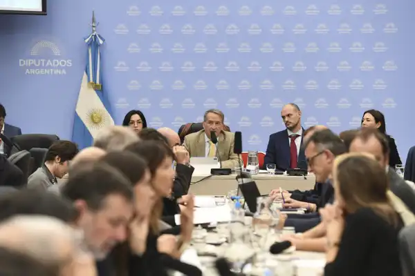 Organizaciones civiles cuestionaron el proyecto de lobby impulsado por el gobierno de Milei