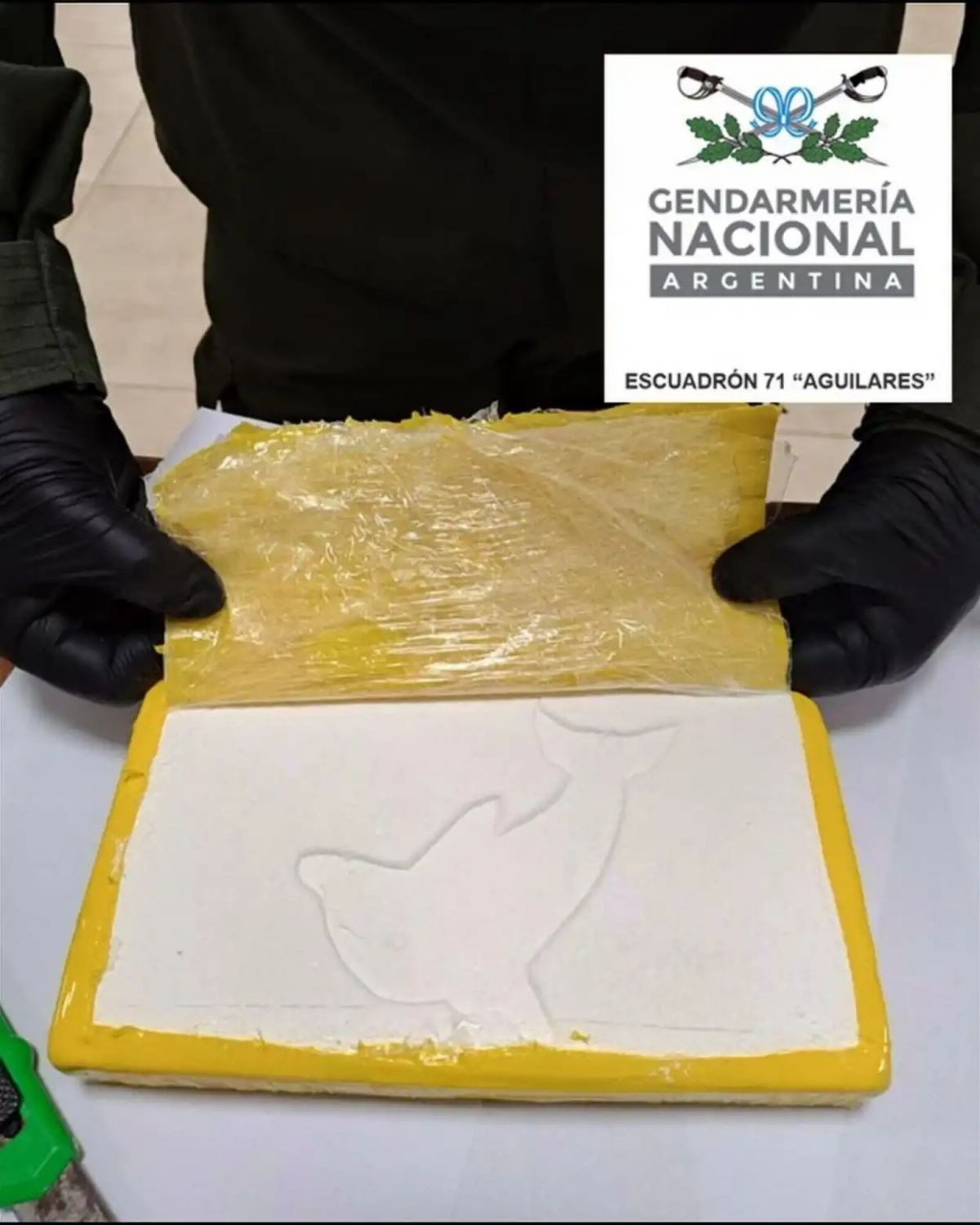 La droga tenía el sello del delfín, marca del clan Castedo.