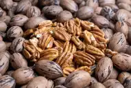 Simposio sudamericano sobre nuez pecán