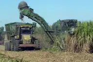 Intercambiarán ideas para reducir pérdidas de materia prima y de azúcar durante la cosecha