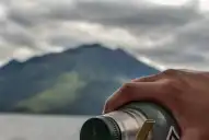 ¿Se convertirá el mate en la infusión más deseada del mundo?
