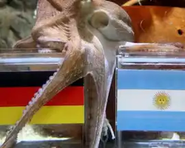 ¡Volvé Paul, te perdonamos!