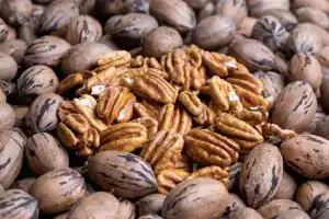 Simposio sudamericano sobre nuez pecán