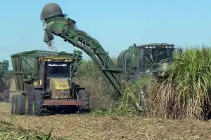 Intercambiarán ideas para reducir pérdidas de materia prima y de azúcar durante la cosecha