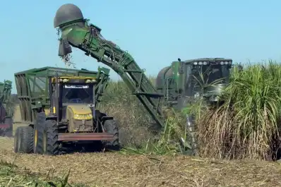 Intercambiarán ideas para reducir pérdidas de materia prima y de azúcar durante la cosecha