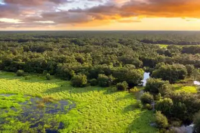 Huracanes, olas de calor y sequías: cómo sus desechos orgánicos potencian la resiliencia del planeta