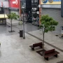 ¿Por qué el próximo feriado será un día atípico en Tucumán?