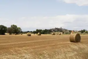 Organizaciones tucumanas piden a los senadores que frenen cambios a la Ley de Tierras