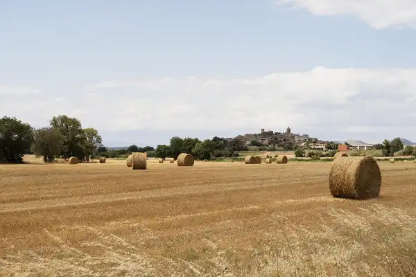 Organizaciones tucumanas piden a los senadores que frenen cambios a la Ley de Tierras