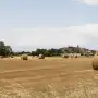 Organizaciones tucumanas piden a los senadores que frenen cambios a la Ley de Tierras