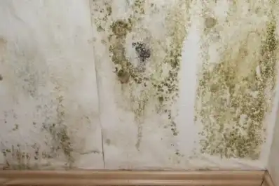 ¿Paredes con humedad? El truco para eliminar las manchas y evitar que vuelvan a aparecer