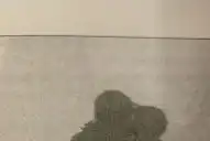 Recuerdos fotográficos: ¿dónde y cuándo nació Lola Mora?