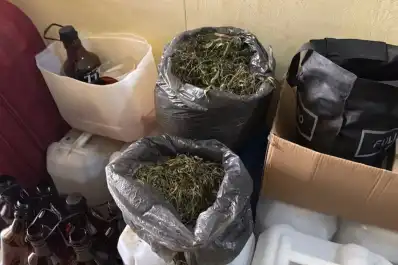 Allanaron una fábrica de Fernnabis: comercializaban bebidas a base de fernet y cannabis