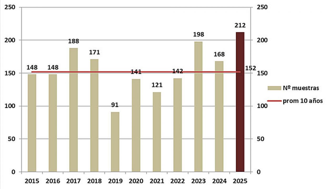 Figura 1: Número de muestras de trigo analizadas en el Laboratorio de Semillas de la Eeaoc - campañas 2015 a 2025