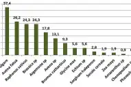 Las 1.000 semillas de trigo promediaron los 36,3 gramos