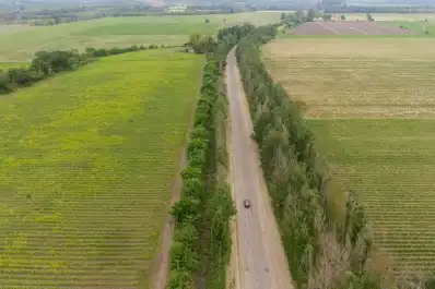 Los caminos rurales y su deplorable estado