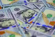 Dólar hoy: el oficial hizo una pausa en su escalada y el blue se negoció a $1.530