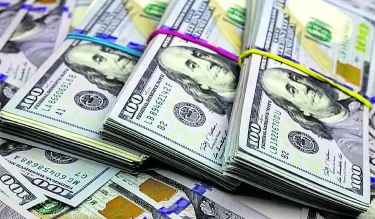 El dólar oficial alcanzó su nivel más alto en el año: a cuánto se vendió este miércoles