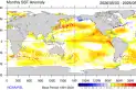 Confirmado: comenzó El Niño y crecen las alertas por su impacto en el clima