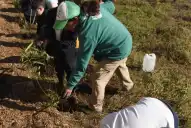 Don Bosco al 4000: crean un mariposario comunitario en un terreno que fue basural durante décadas