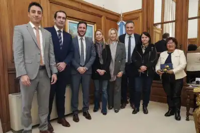 El apoyo de los senadores a Adorni no fue unánime