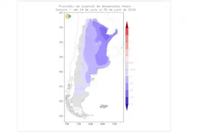 Ola polar en Argentina: cuáles son las provincias más afectadas por el brusco descenso de temperatura