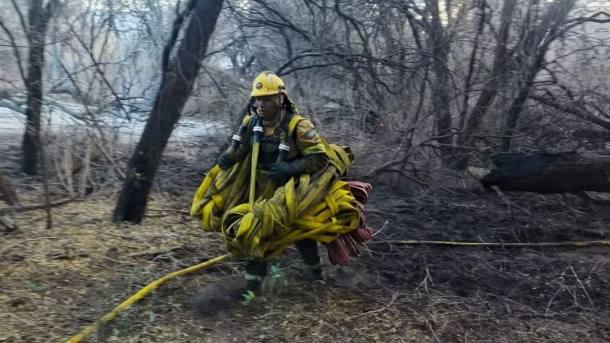 Incendio en Cafayate: más de 200 hectáreas afectadas y continúan los operativos para evitar rebrotes