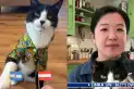 Billy, el gato que tiene en vilo al Mundial: acertó 21 resultados y ya lo comparan con el Pulpo Paul