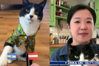 Billy, el gato que tiene en vilo al Mundial: acertó 21 resultados y ya lo comparan con el Pulpo Paul