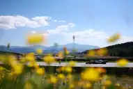 Cómo le fue a Franco Colapinto en el primer día del GP de Austria de Fórmula 1