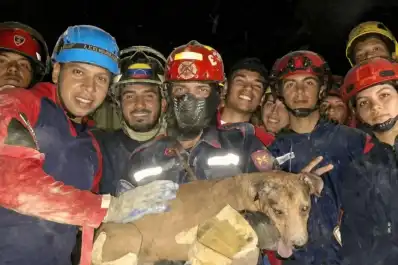 El video que conmueve a miles: así rescataron a un perro atrapado tras el terremoto en Venezuela
