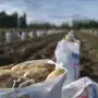 Las exportaciones de producciones regionales alcanzaron un récord en valor de los últimos 22 años