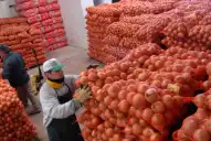 Hortalizas: las exportaciones crecieron un 17%