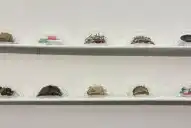 ArTuc es “una cachetada de arte”